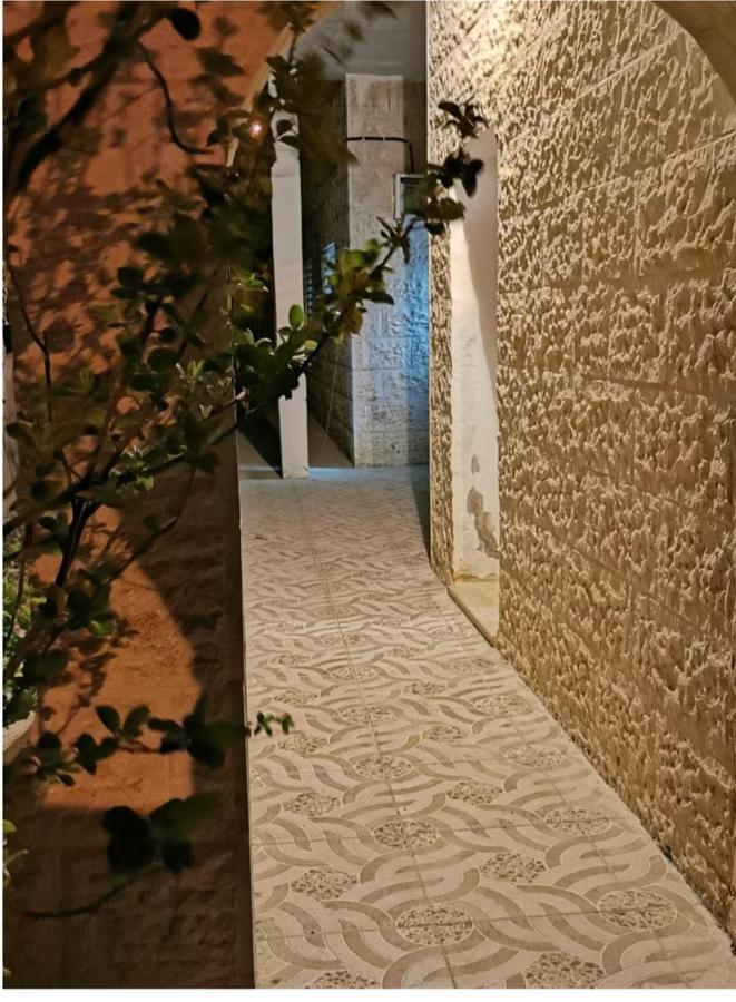 Orchid Apartment Wadi Musa Zewnętrze zdjęcie